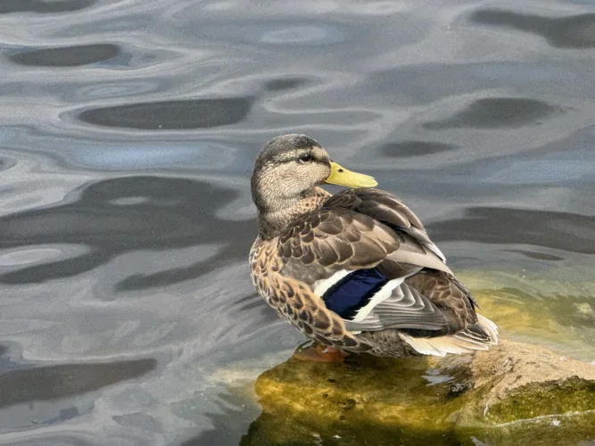 By the boat harbor